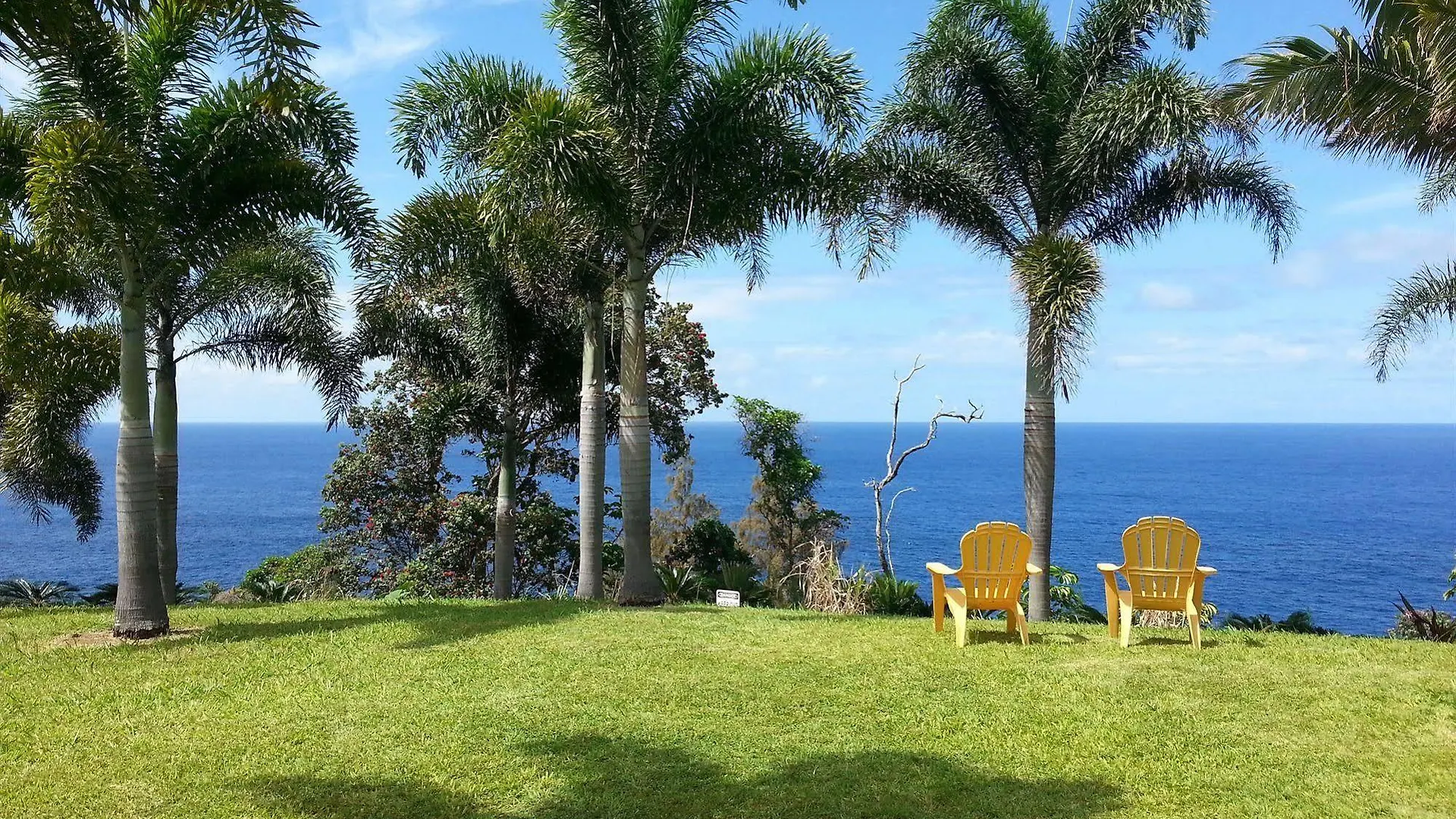 Semesterbostad Oceanfront Vacation Rental Honomu